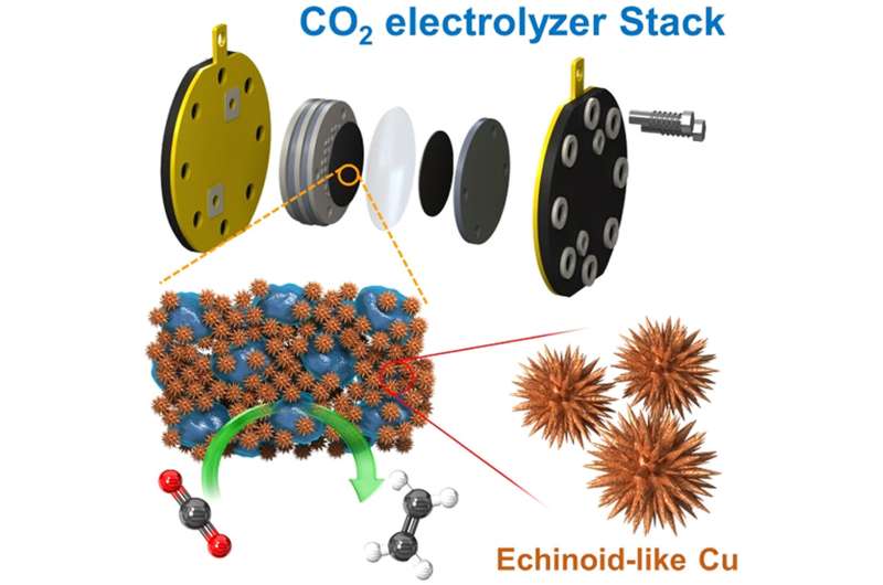 Development of a large CO2 conversion system, a core carbon neutrality technology