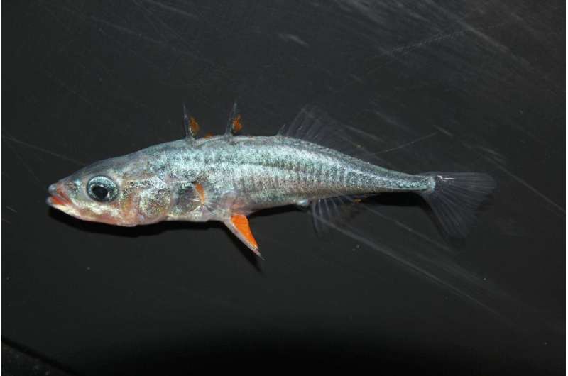 Ancient fish DNA provides a window back in time