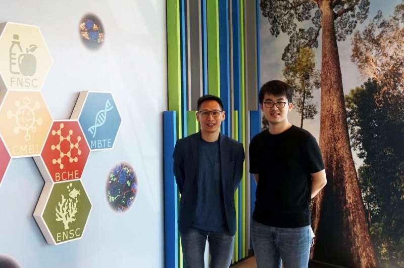 CUHK unveils balance between two protein counteracting forces in hereditary ataxias