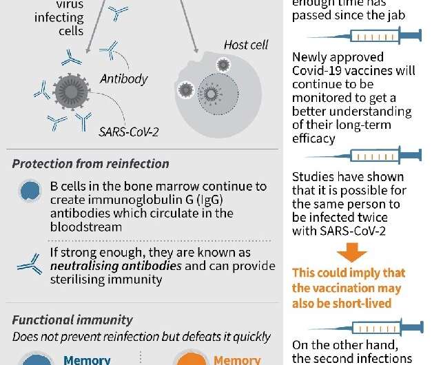 Graphic on the immune response that inoculations are designed to activate