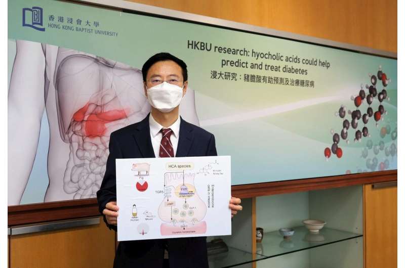 HKBU-led research reveals hyocholic acids are promising agents for diabetes prediction and treatment