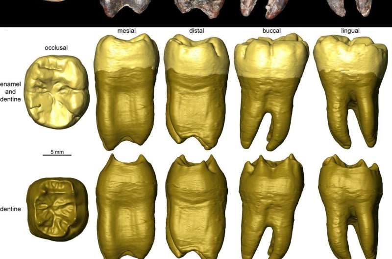 Neanderthals and Homo sapiens used identical Nubian technology