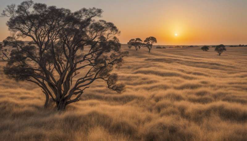 To fix Australia's environment laws, wildlife experts call for these 4 changes — all are crucial