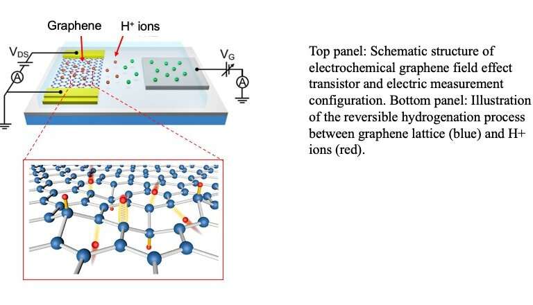 Researchers identify a strategy to achieve large transport gap modulation in graphene