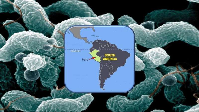 研究人员发现秘鲁突出的突厥综合征爆发的原因