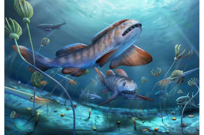 290-million-year-old shark with large petal-shaped teeth found in China for the first time