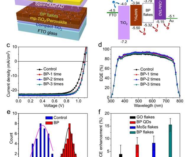 2D materials for conducting hole currents from grain boundaries in perovskite solar cells