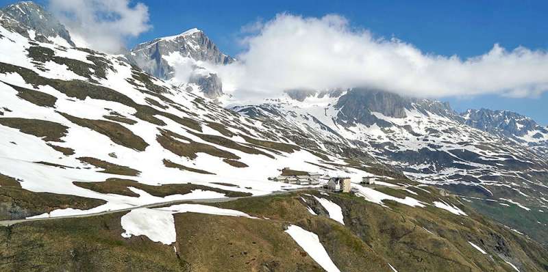Alpine plants are losing their white “protective coat”