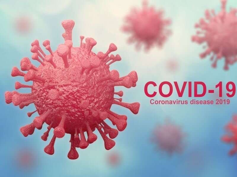 冠状病毒抗体似乎可以阻止再感染数月