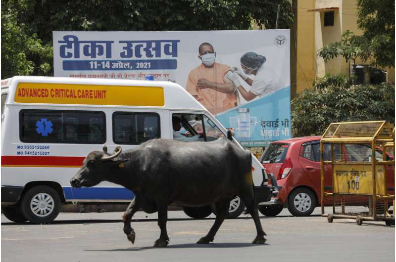 India's capital to lock down as nation's virus cases top 15M