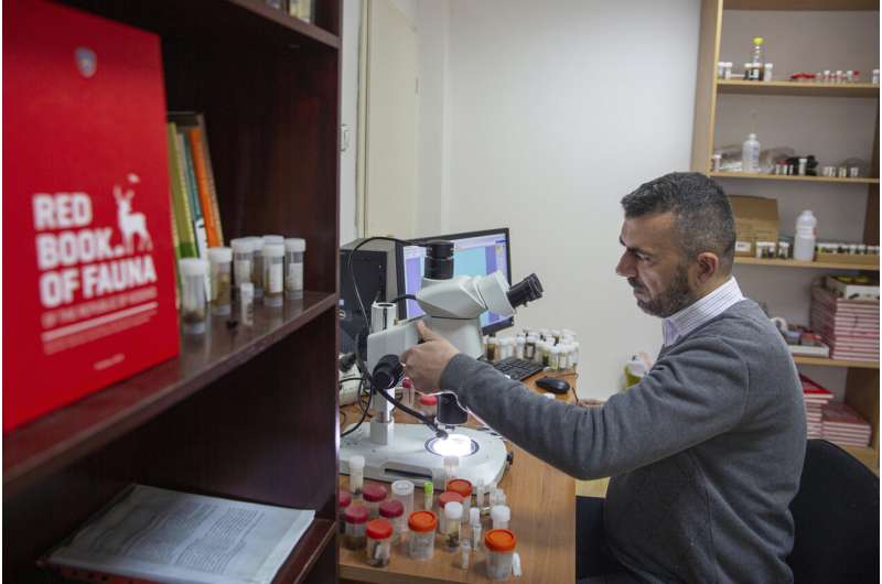 Kosovar biologist calls newly found insect after coronavirus