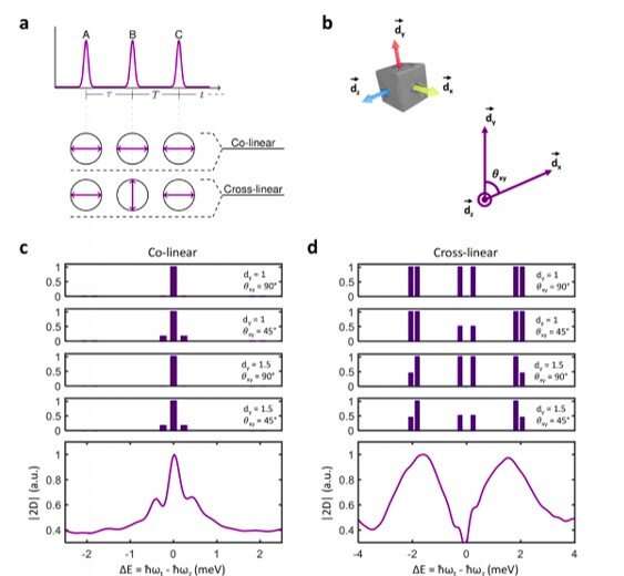 Multidimensional coherent spectroscopy reveals triplet state coherences in cesium lead-halide perovskite nanocrystals