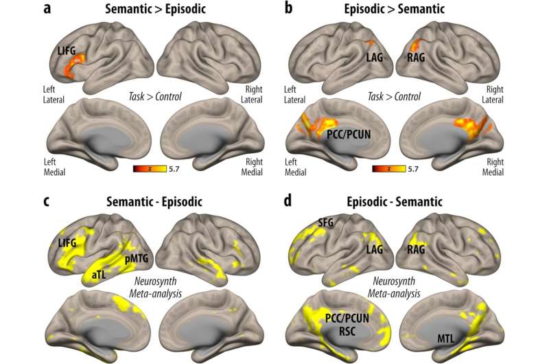 New study showing how the brain retrieves facts and personal experiences may help people with memory disorders