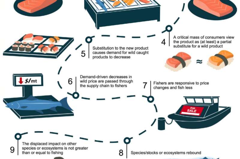 Researchers detail the long chain of events required for cultured seafood to deliver environmental benefits