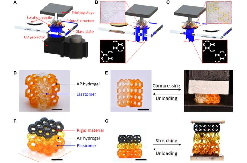 3-D printing highly stretchable hydrogel with diverse UV curable polymers