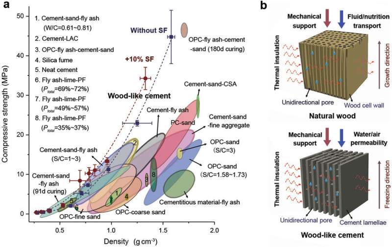 Wood-inspired cement with high strength and multifunctionality