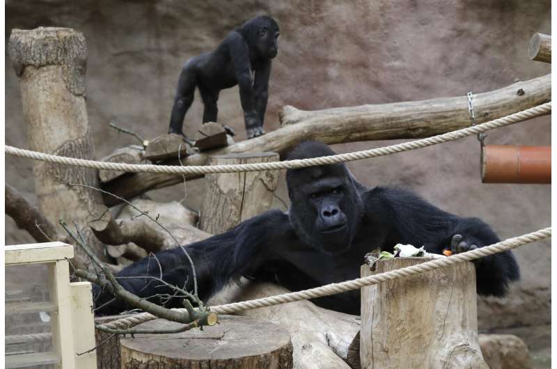 Zoos, scientists aim to curb people giving virus to animals