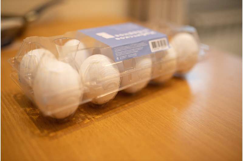 Los científicos desarrollaron una tecnología segura y barata de desinfección de los huevos envasados.