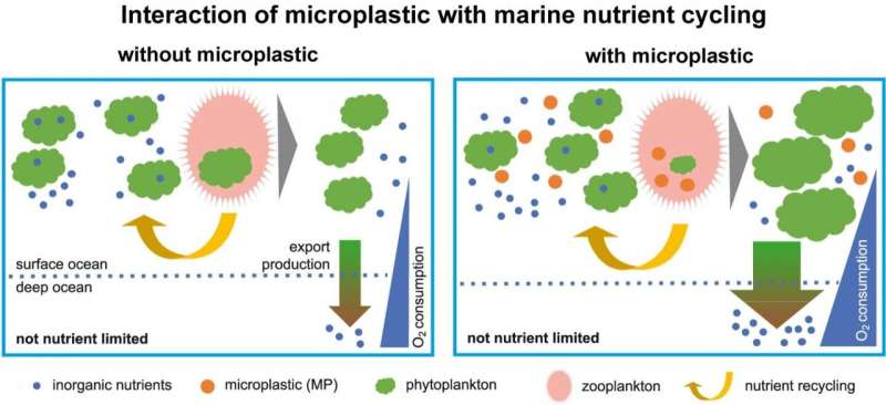 Microplastics affect global nutrient cycle and oxygen levels in the ocean