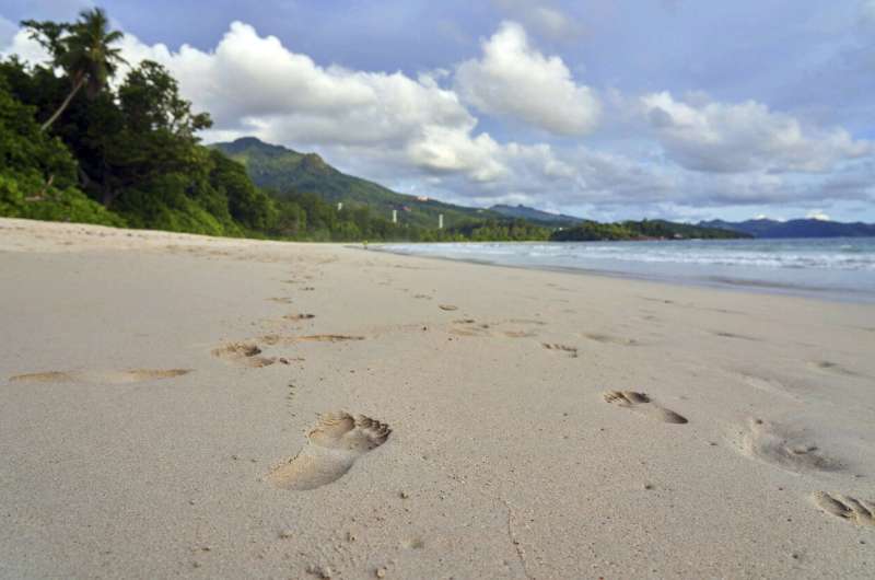Seychelles bids to reach COVID 'herd immunity' by mid-March