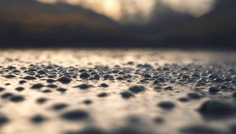 The secret life of puddles—their value to nature is subtle, but hugely important