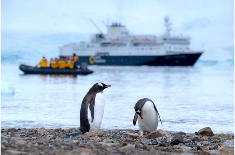 Study shows how network of marine protected areas could help safeguard Antarctic penguins