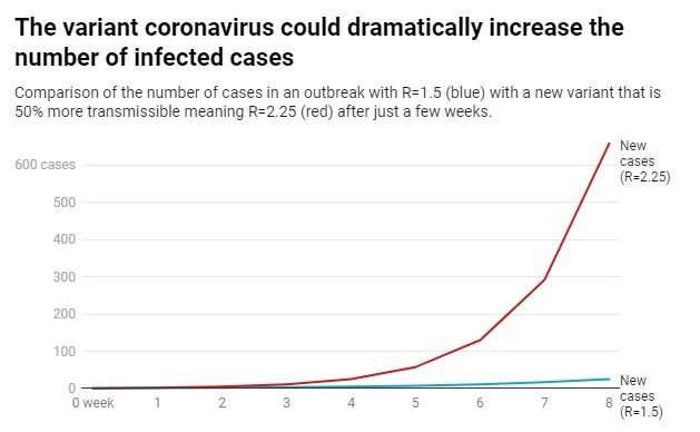 Why the COVID-19 variants are so dangerous and how to stop them spreading