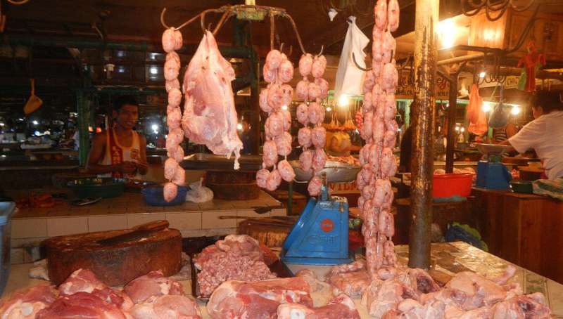 African swine fever decimates Philippine pig stocks