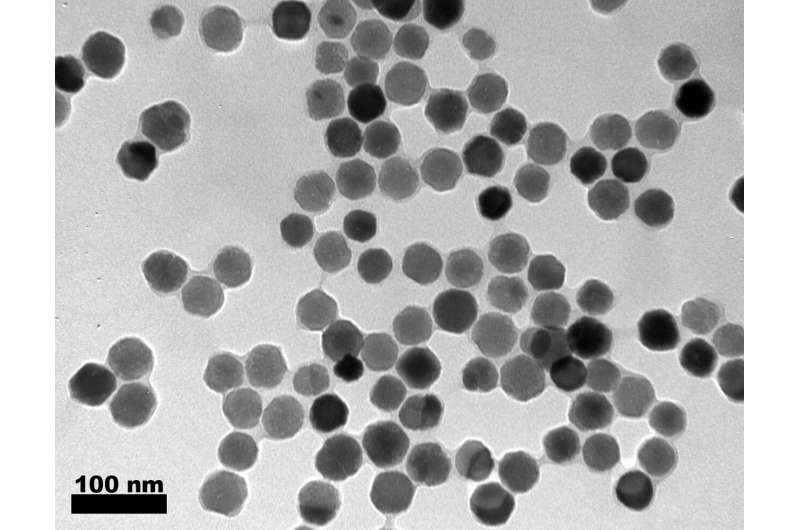 Bacterial magnetic nanoparticles for biomedical applications
