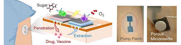 Biobattery-powered微针贴剂可以提供药物和获得测试样本