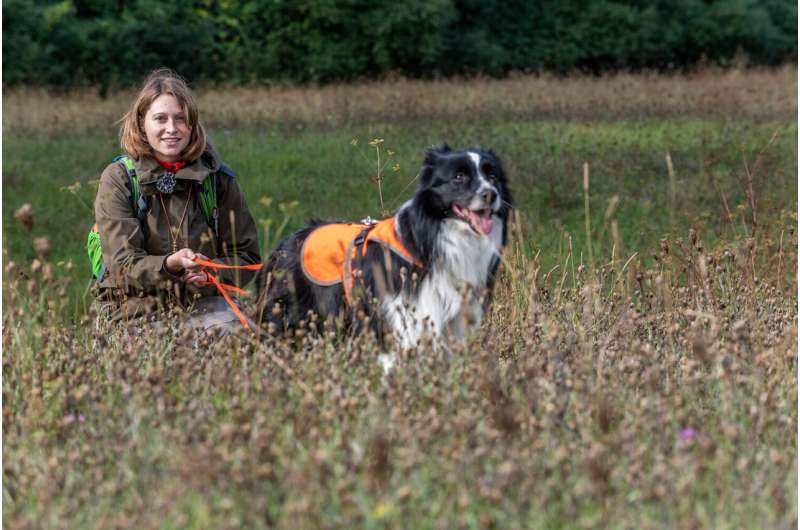 Detection dogs help generate important data for research and conservation
