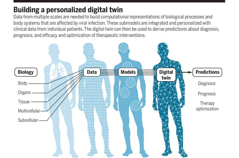 Digital twins could lead to more proactive, personalized medicine, researchers say