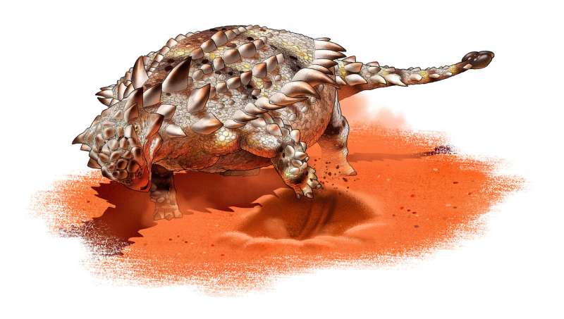 Prehistoric armoured dinosaur may have been able to dig
