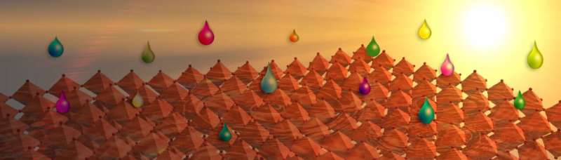 A general approach to high-efficiency perovskite solar cells