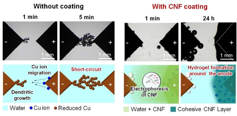 Cohesive circuit protection for wearable electronics