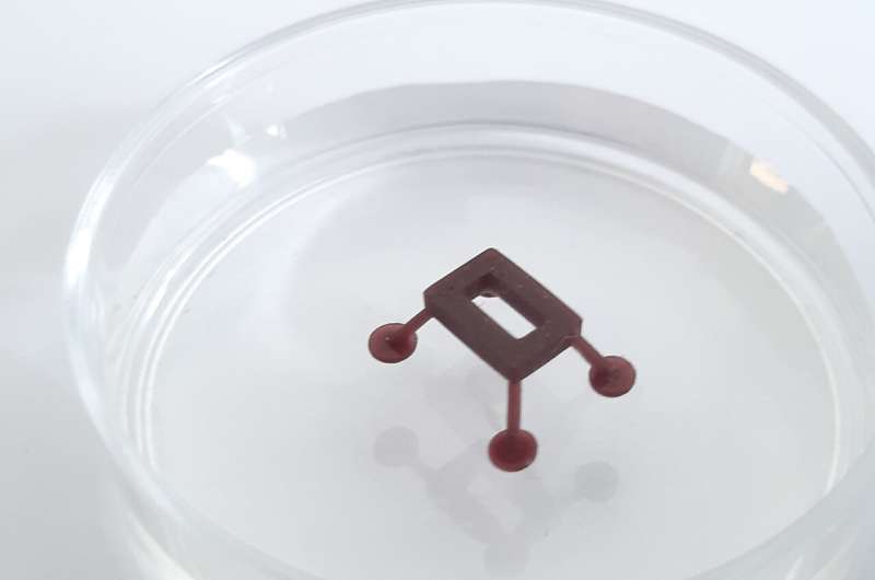 ThermoBots: Microrobots on the water