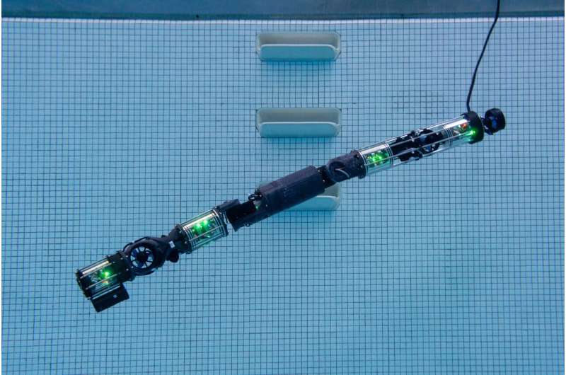 Biorobotics lab builds submersible robot snake
