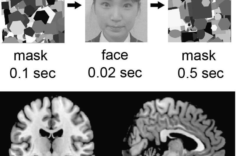 viewing your own face, even subconsciously, is rewarding