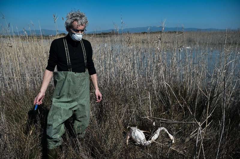 Environmentalist Stavros Kalpakis holds an empty shotgun shell next to a dead flamingo in the Agios Mamas lagoon