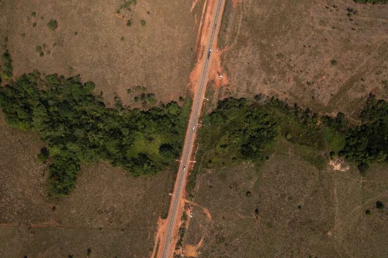 A deforested area of Amazon rainforest around a highway in Curionopolis, in Brazil's Para state