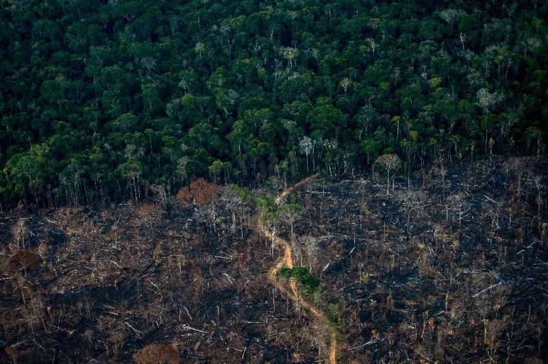 A deforested area of rainforest in Labrea, in Brazil's Amazonas state