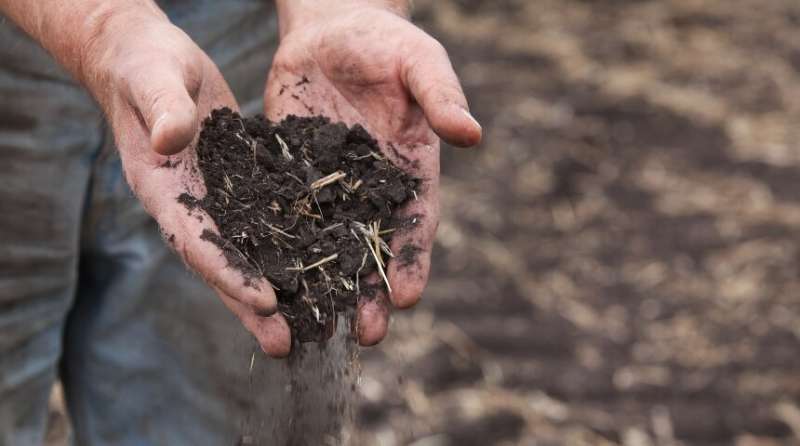 A dirty problem: Scientists fight to fix the world's soils