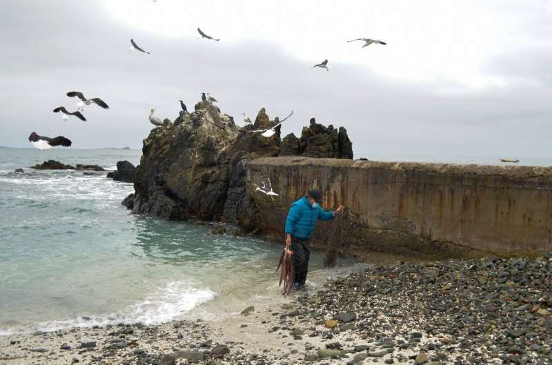 A fisherman is seen in Punta de Choros, La Higuera, Chile, on October 5, 2021; local fishermen fear a big mining project will fo