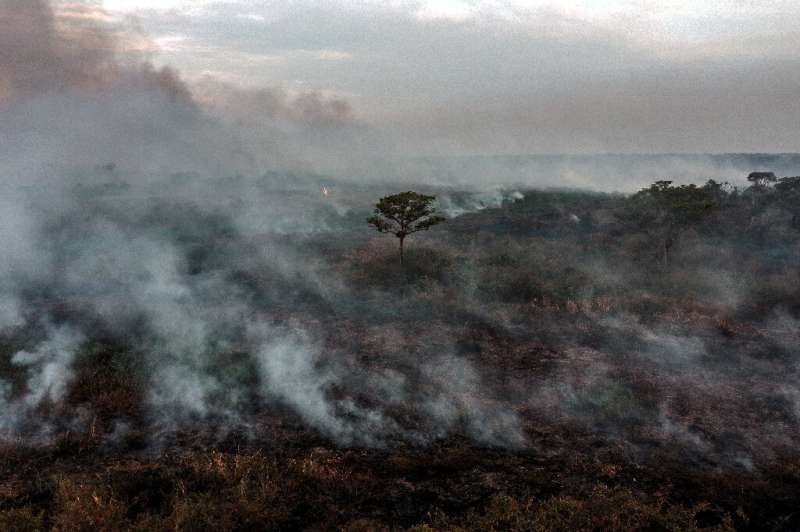 A forest fire in Porto Jofre, in the Pantanal area of Brazil's Mato Grosso state—studies indicate the rainforest is near a 'tipp