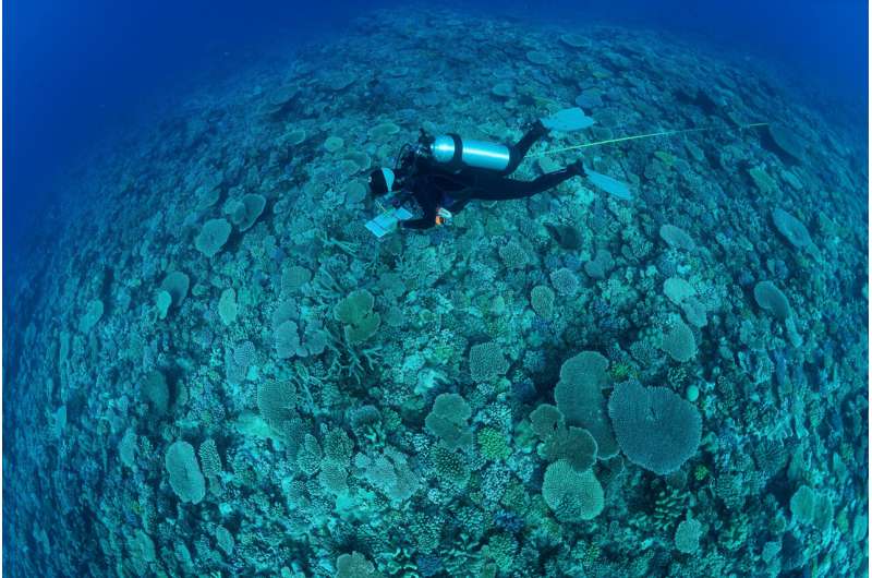 A groundbreaking survey of the world’s reefs reveals the extent of the coral reef crisis