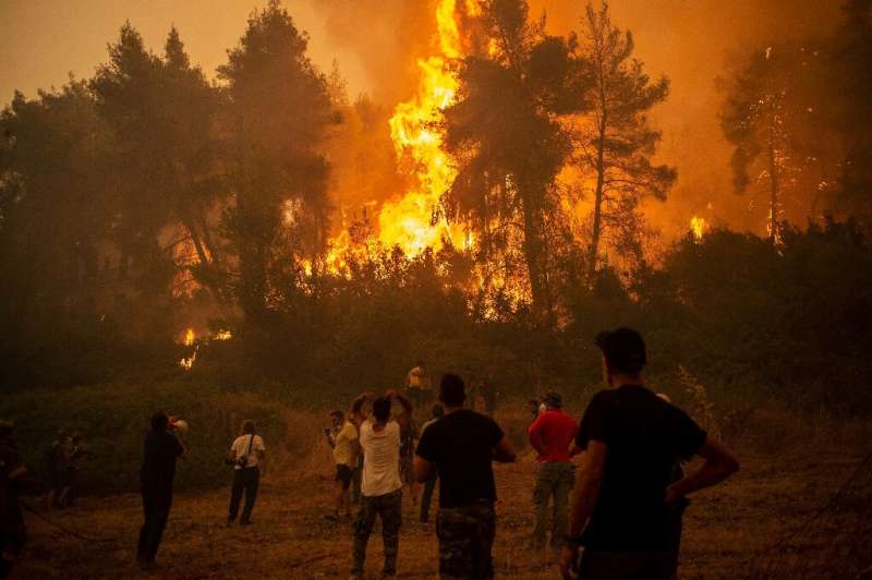 A large forest fire approaches the village of Pefki on Evia, Greece's second largest island