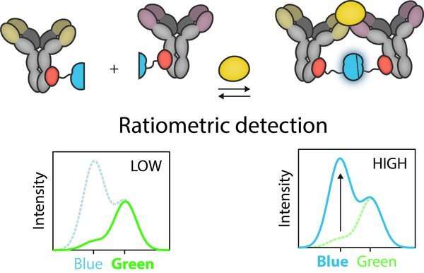 A molecular traffic light for infectious diseases