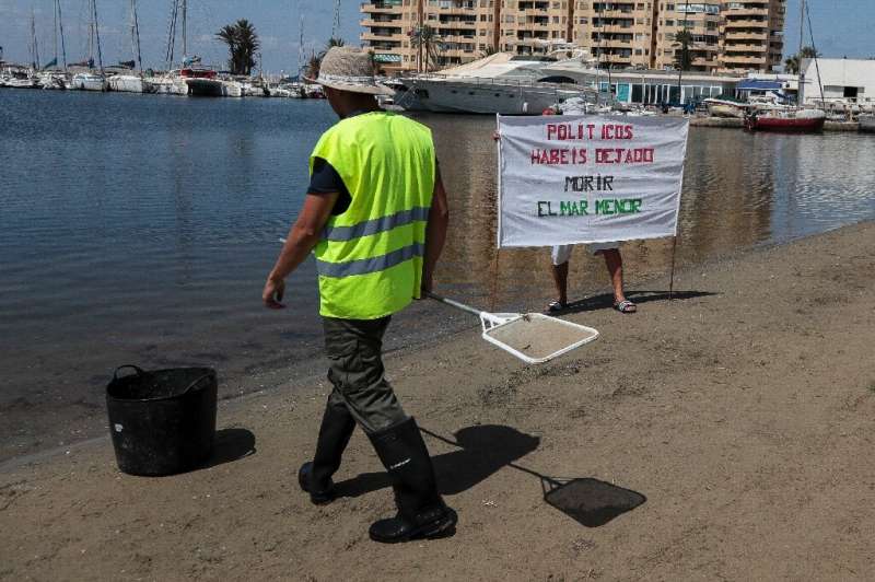 A municipal worker walks past a man holding a banner reading 'Politicians you have let the Mar Menor lagoon die'. Ecologists say