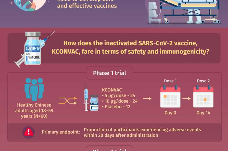 A new hope: A novel vaccine against COVID-19 is safe and induces antibody production