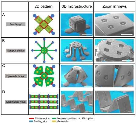 A new method inspired by kid's pop-up books for making 3D artificial tissue